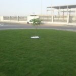 Landscaping Works Sharjah -Green Life Landscaping